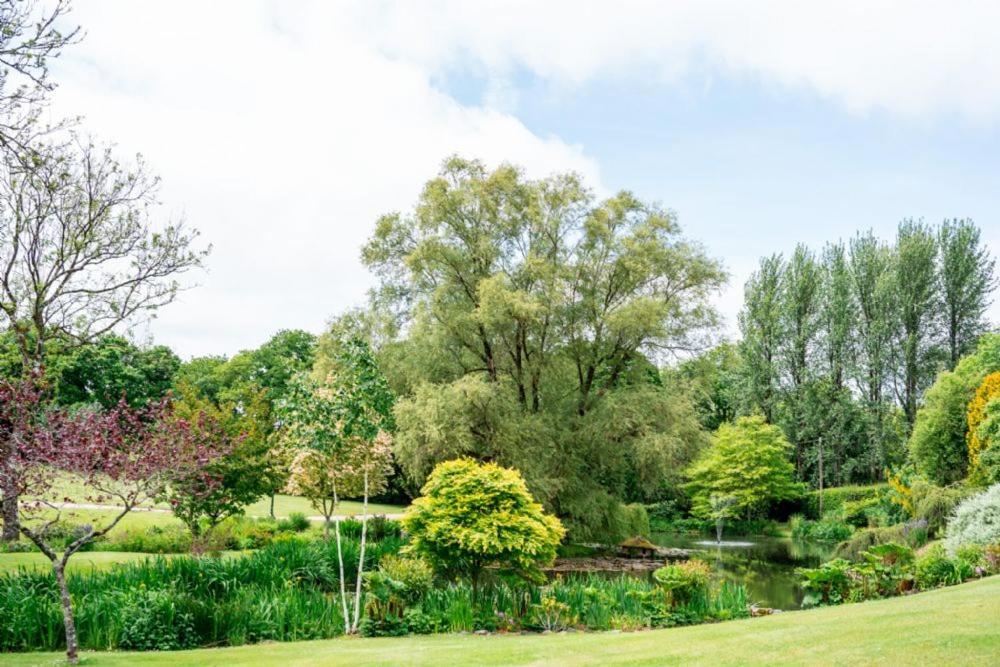 Pulley Mill Villa High Bickington ภายนอก รูปภาพ