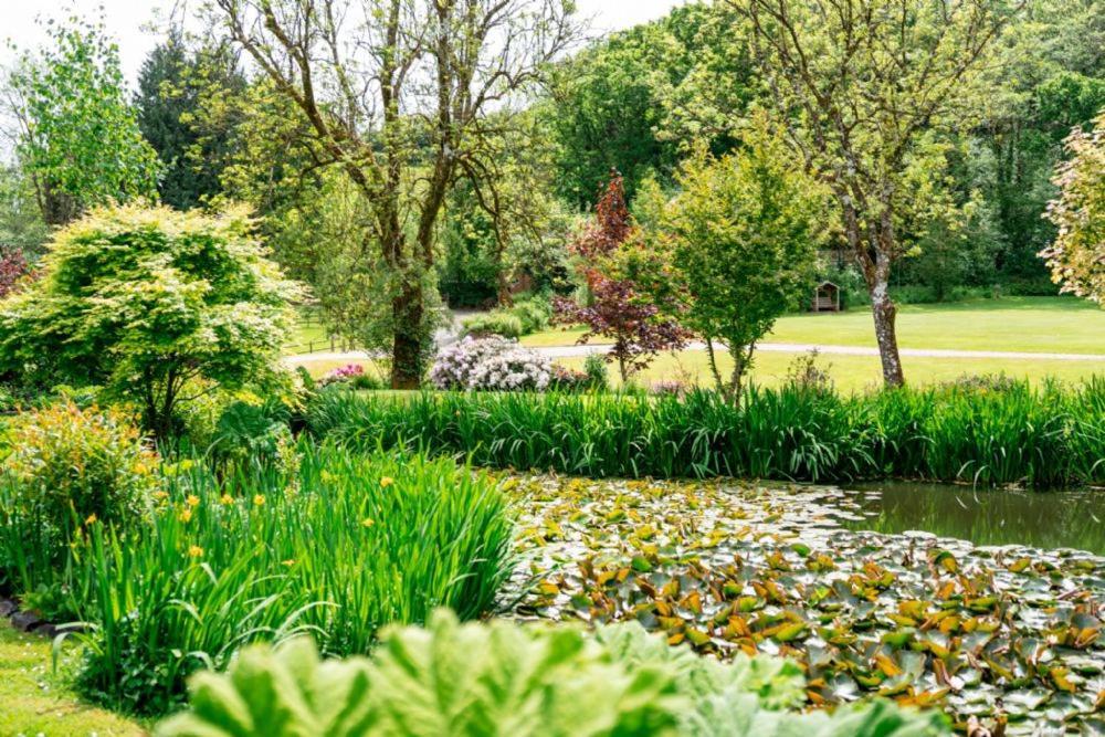 Pulley Mill Villa High Bickington ภายนอก รูปภาพ