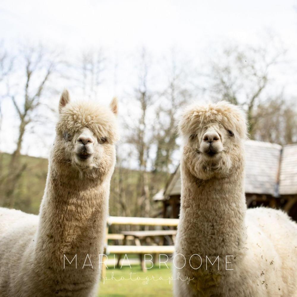 Pulley Mill Villa High Bickington ภายนอก รูปภาพ
